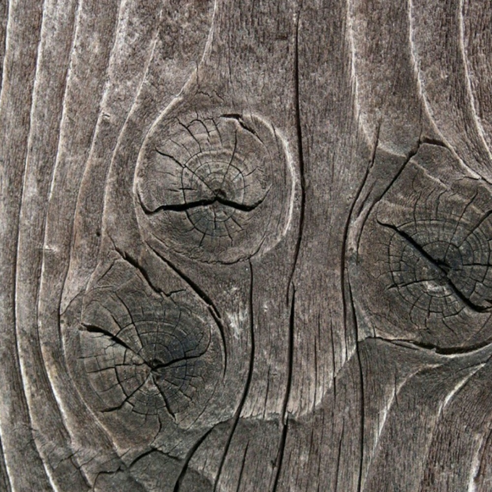 Meet your Posher, Franck